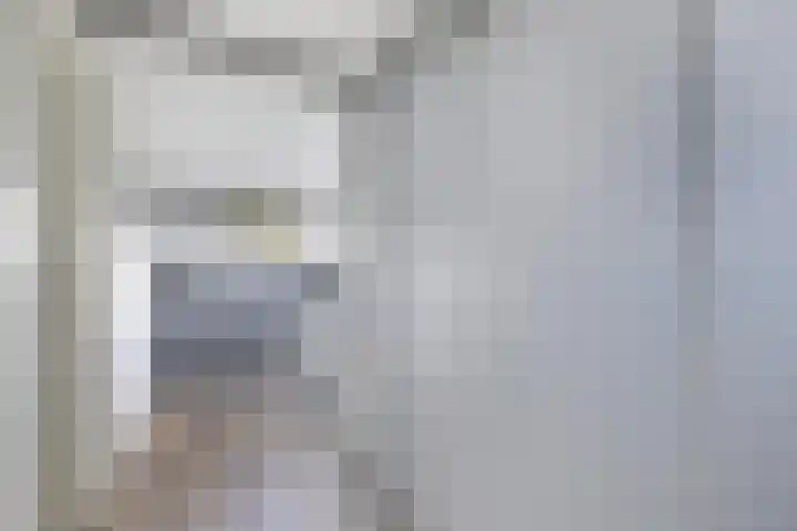 Mossenmeent 10 Hilversum thumbnail 36