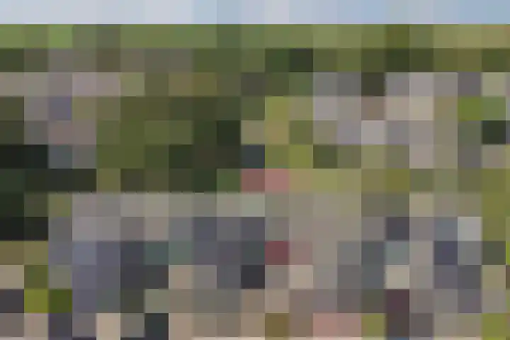 Mossenmeent 10 Hilversum thumbnail 6