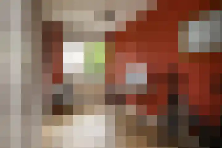 Mossenmeent 5 Hilversum thumbnail 19