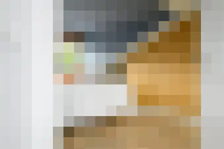 Mossenmeent 5 Hilversum thumbnail 25