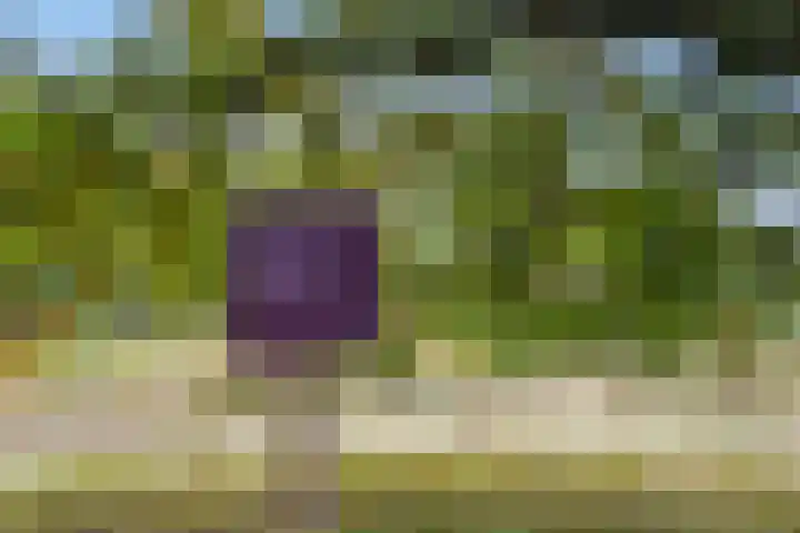 Mossenmeent 5 Hilversum thumbnail 30