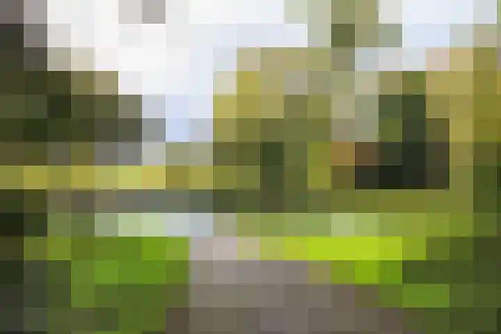 Mossenmeent 5 Hilversum thumbnail 31