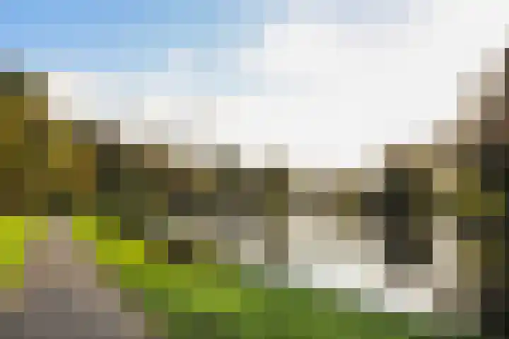 Mossenmeent 5 Hilversum thumbnail 32