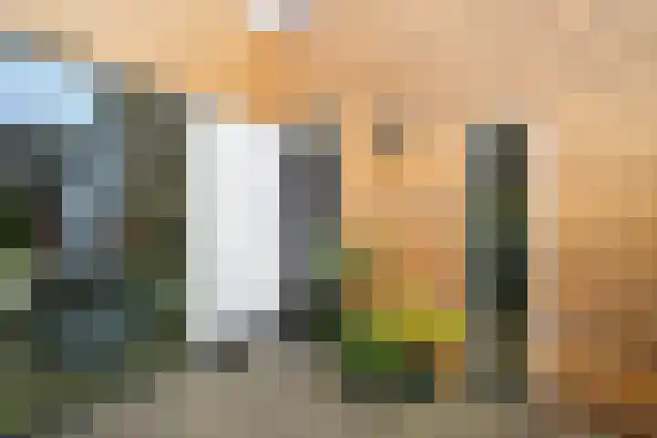 Mossenmeent 5 Hilversum thumbnail 4