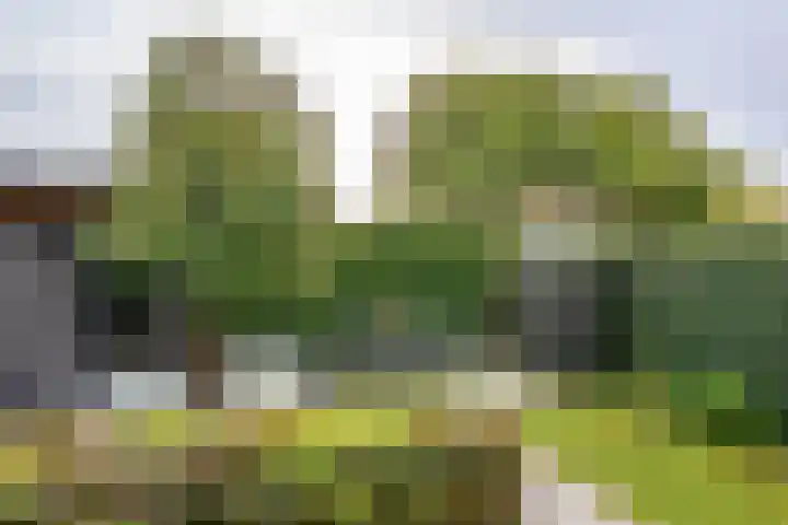 Mossenmeent 5 Hilversum thumbnail 9