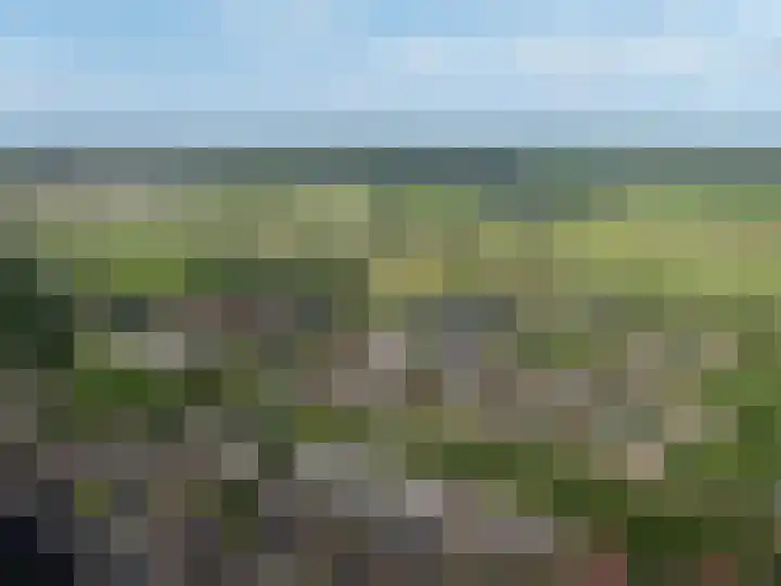 Mosstraat 25 Rijen thumbnail 6