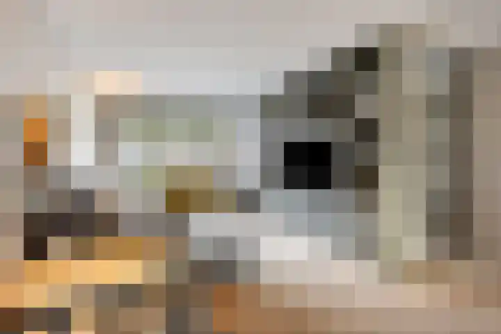 Mostakker 6 Oirschot thumbnail 10