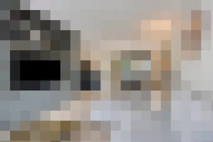 Mostakker 6 Oirschot thumbnail 13