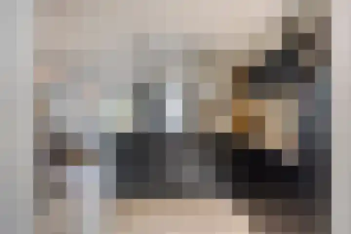 Mostakker 6 Oirschot thumbnail 16