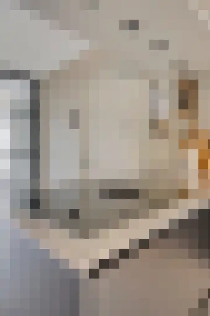 Mostakker 6 Oirschot thumbnail 17
