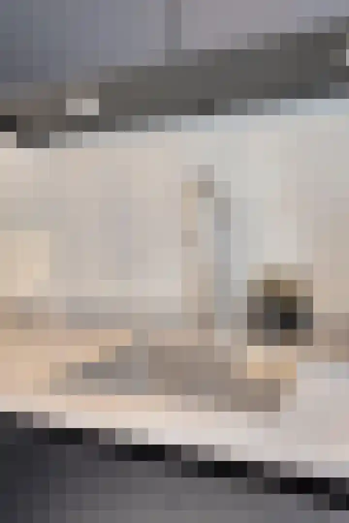 Mostakker 6 Oirschot thumbnail 18