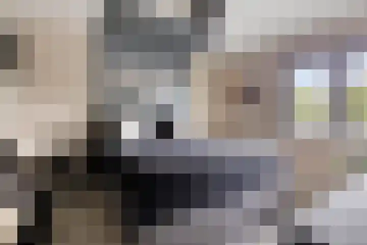 Mostakker 6 Oirschot thumbnail 20