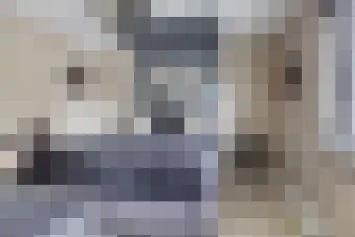 Mostakker 6 Oirschot thumbnail 21