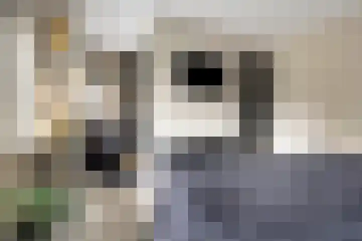 Mostakker 6 Oirschot thumbnail 22