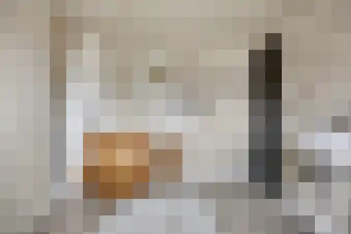Mostakker 6 Oirschot thumbnail 23