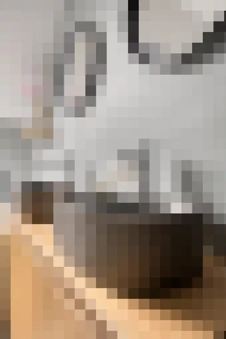 Mostakker 6 Oirschot thumbnail 28