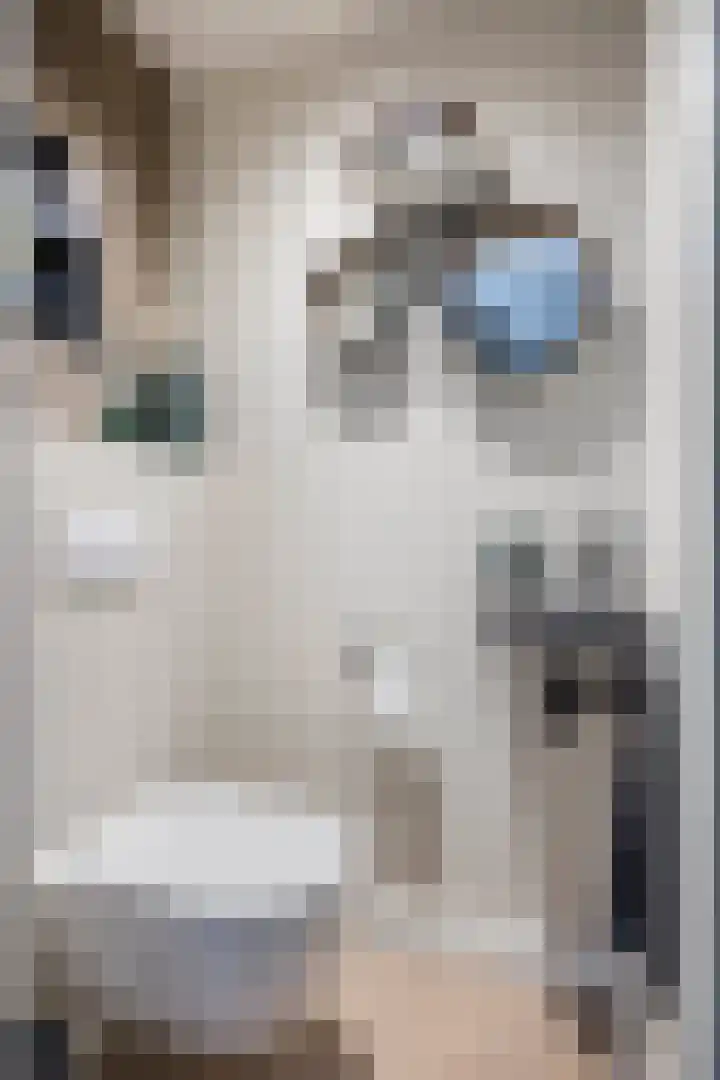 Mostakker 6 Oirschot thumbnail 8