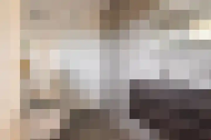 Mosterdakker 10 Zoetermeer thumbnail 17