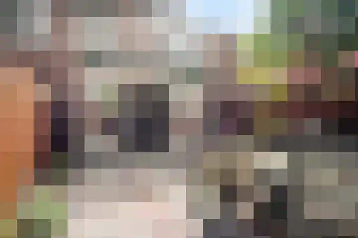 Mosterdakker 10 Zoetermeer thumbnail 19