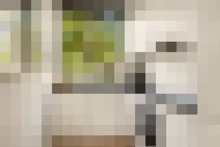 Mosterdakker 10 Zoetermeer thumbnail 20