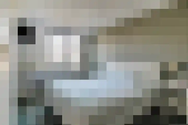 Mosterdakker 10 Zoetermeer thumbnail 23