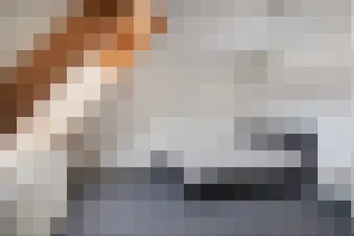 Mosterdakker 10 Zoetermeer thumbnail 35