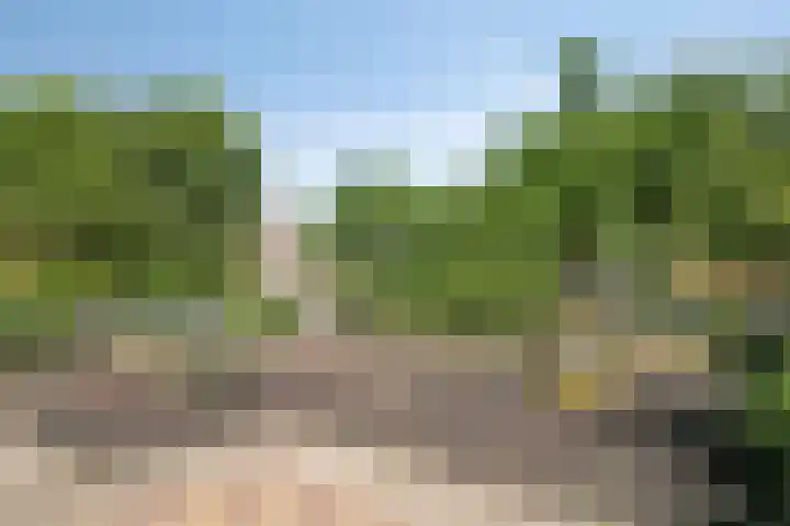 Mosterdakker 10 Zoetermeer thumbnail 39