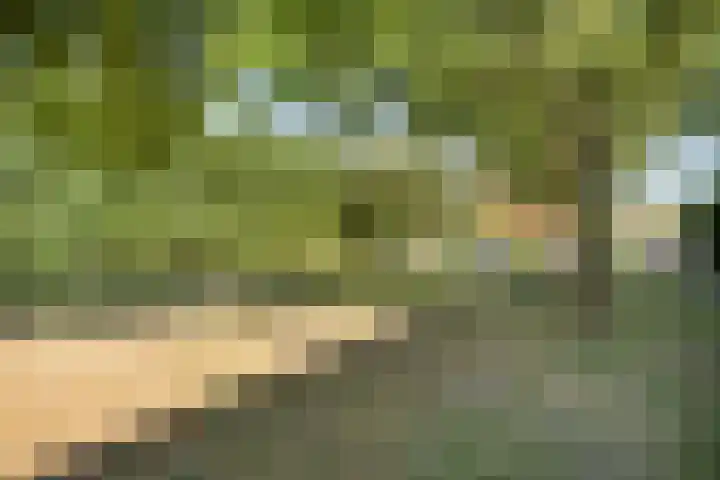 Mosterdakker 10 Zoetermeer thumbnail 40