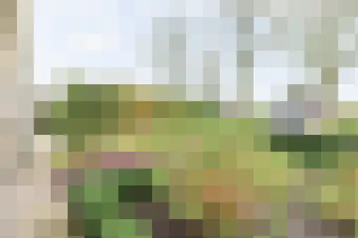 Mosterdakker 10 Zoetermeer thumbnail 45