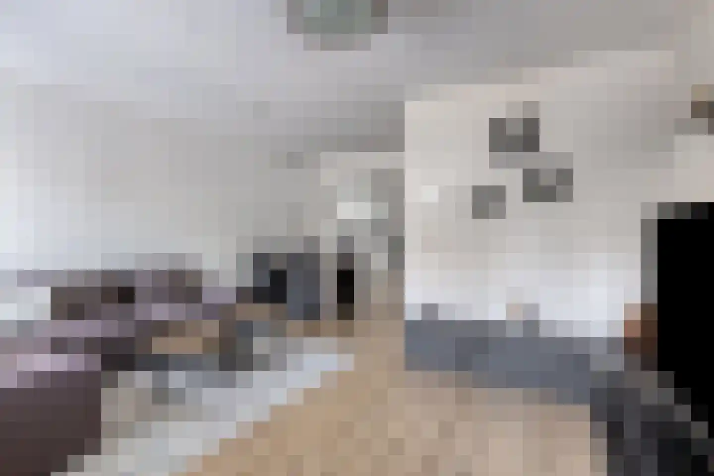 Mosterdakker 2 Zoetermeer thumbnail 10