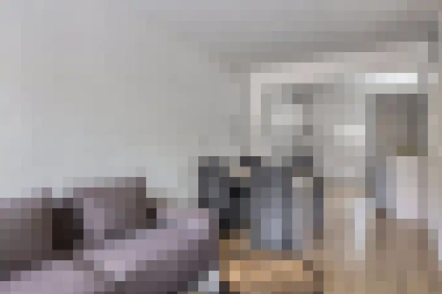 Mosterdakker 2 Zoetermeer thumbnail 11