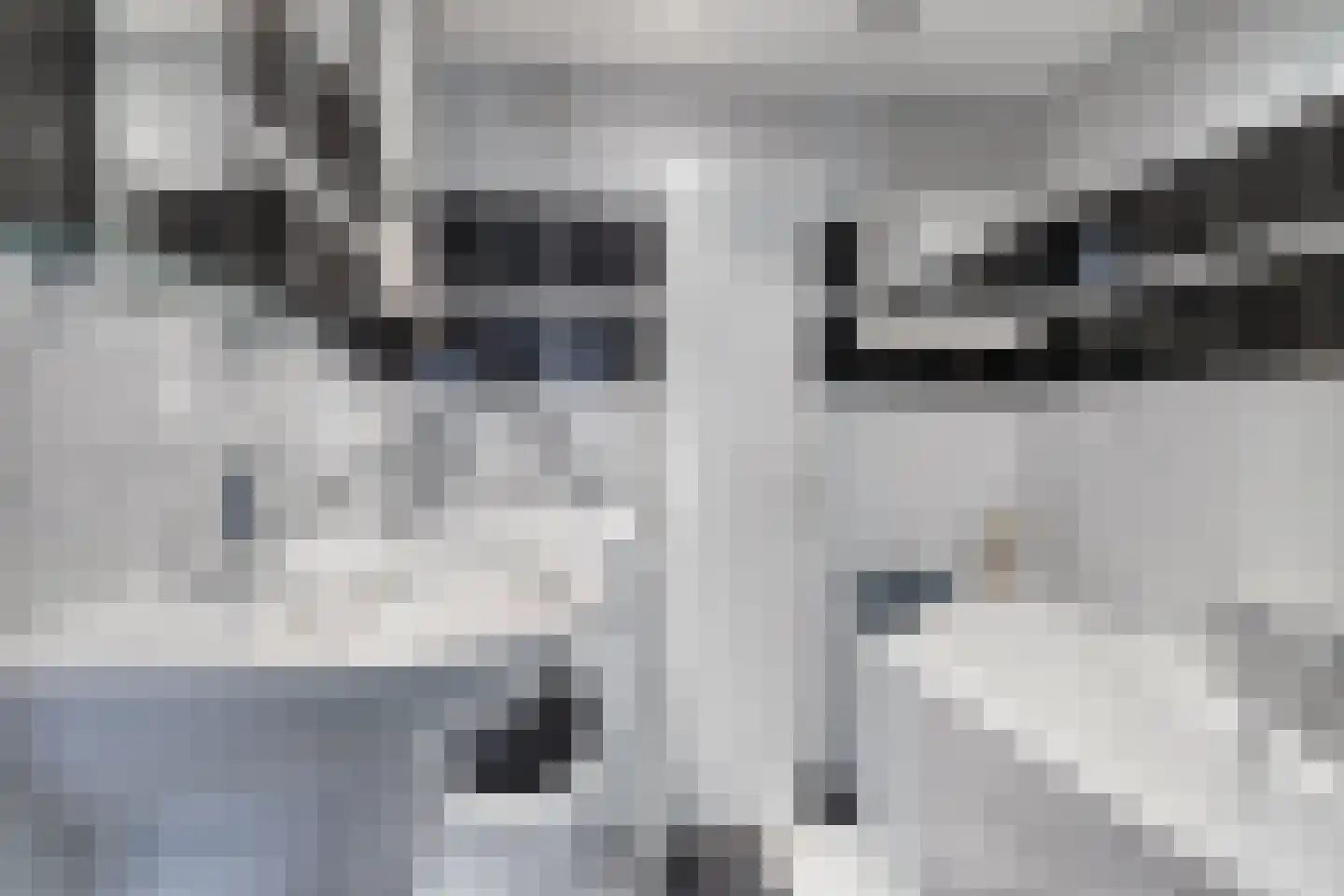 Mosterdakker 2 Zoetermeer thumbnail 21