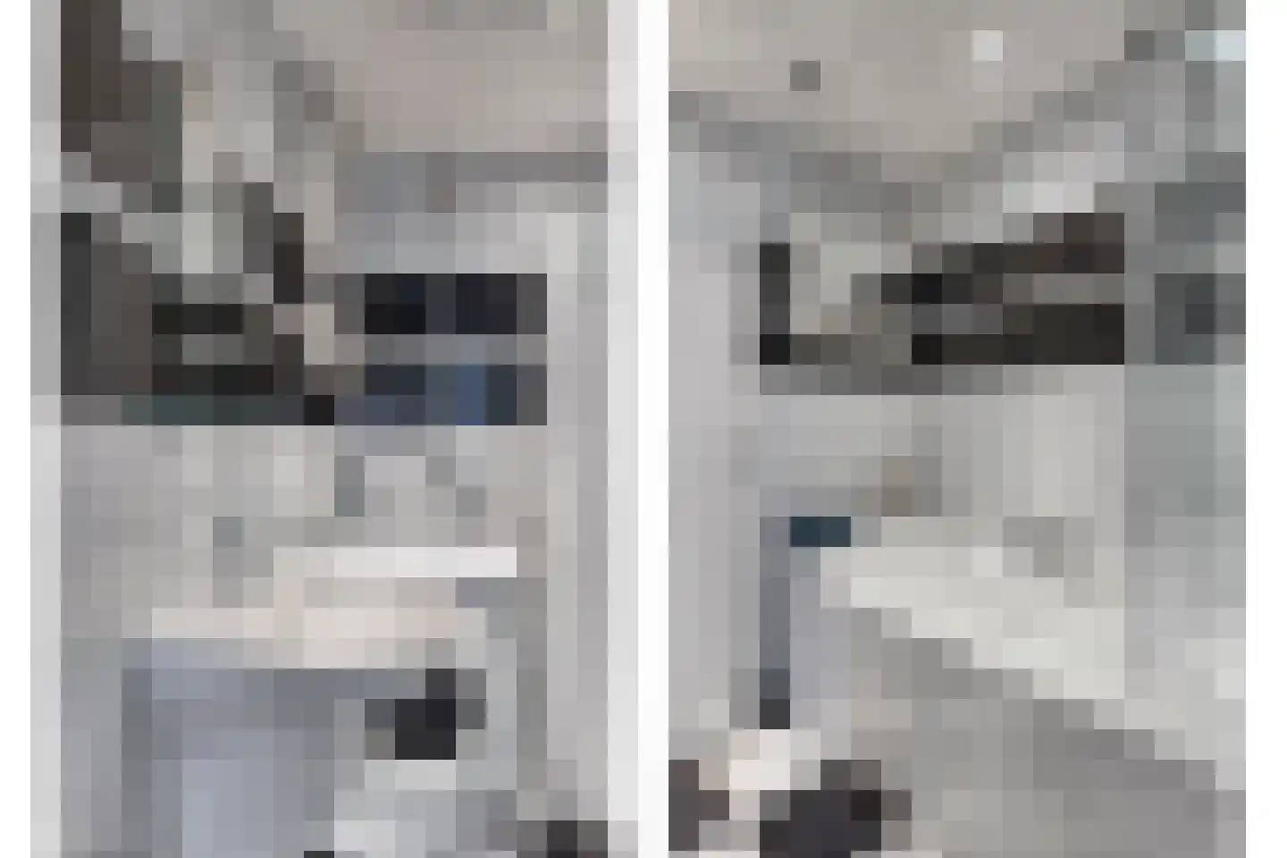Mosterdakker 2 Zoetermeer thumbnail 22