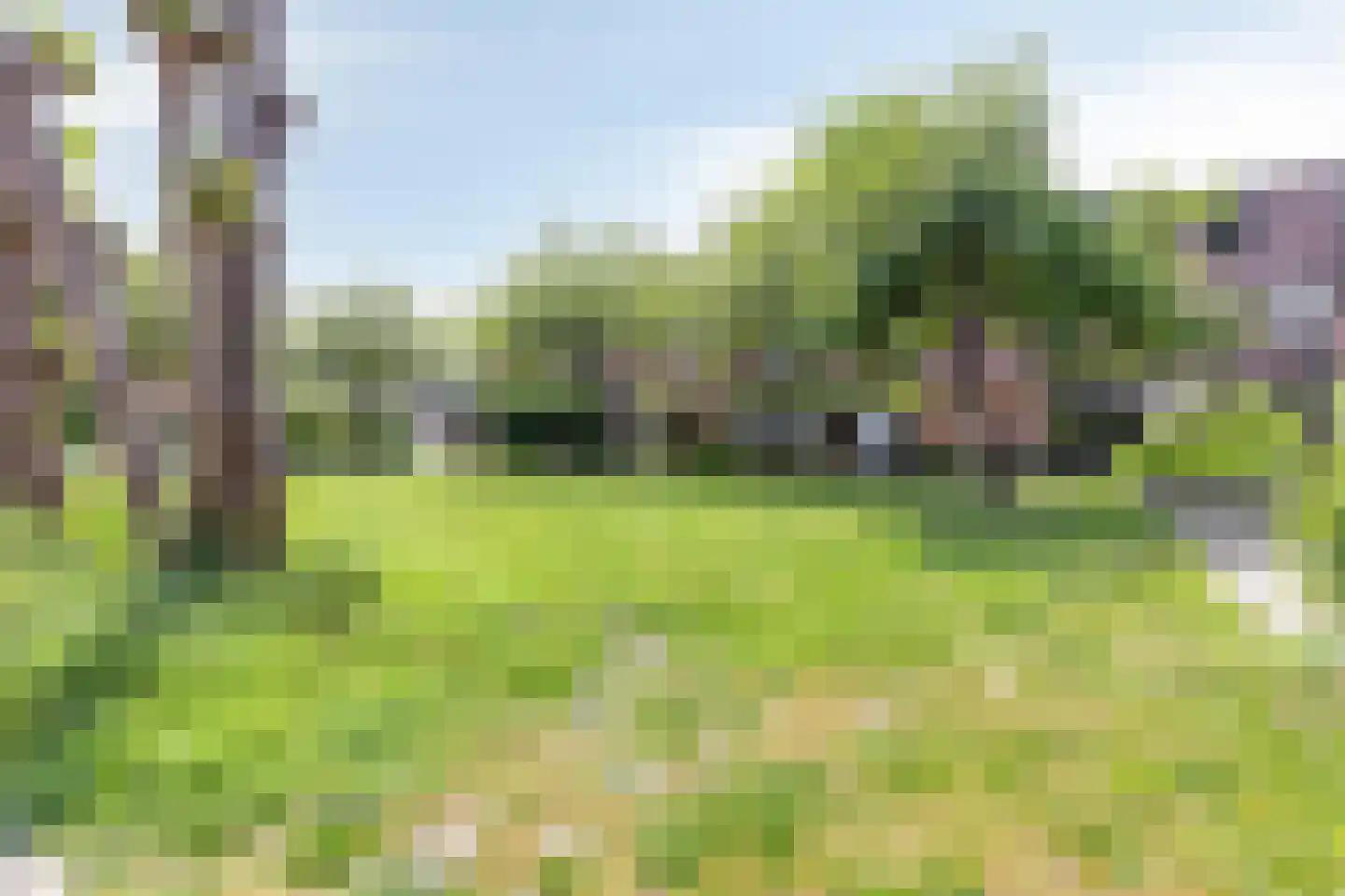 Mosterdakker 2 Zoetermeer thumbnail 24