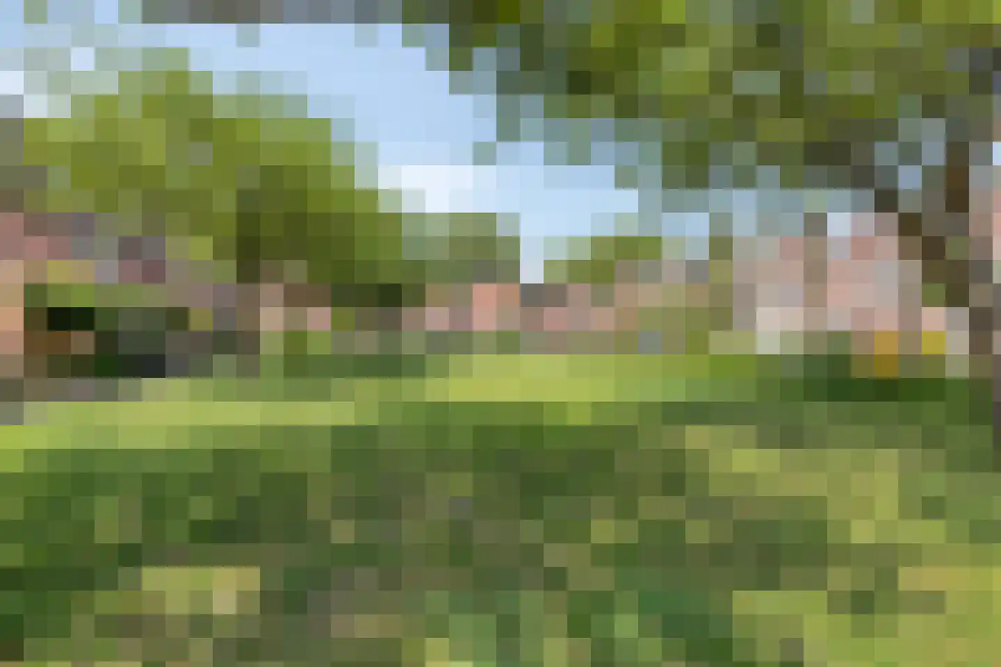 Mosterdakker 2 Zoetermeer thumbnail 5