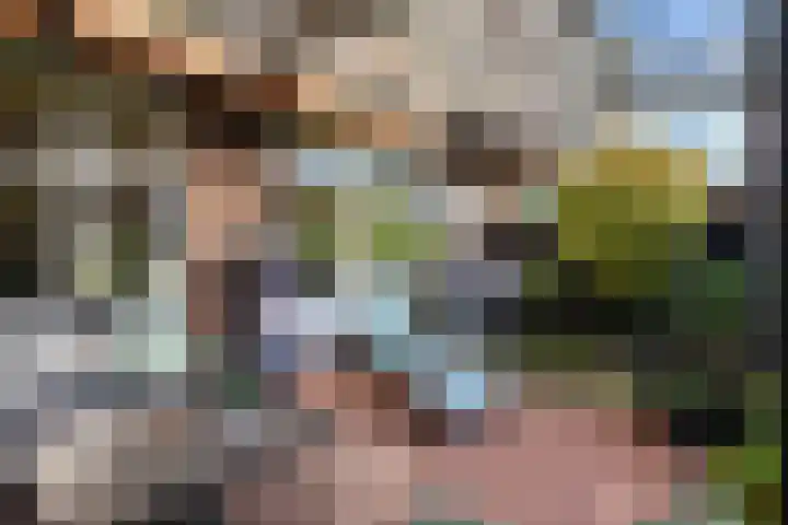Mosterdakker 7 Zoetermeer thumbnail 19
