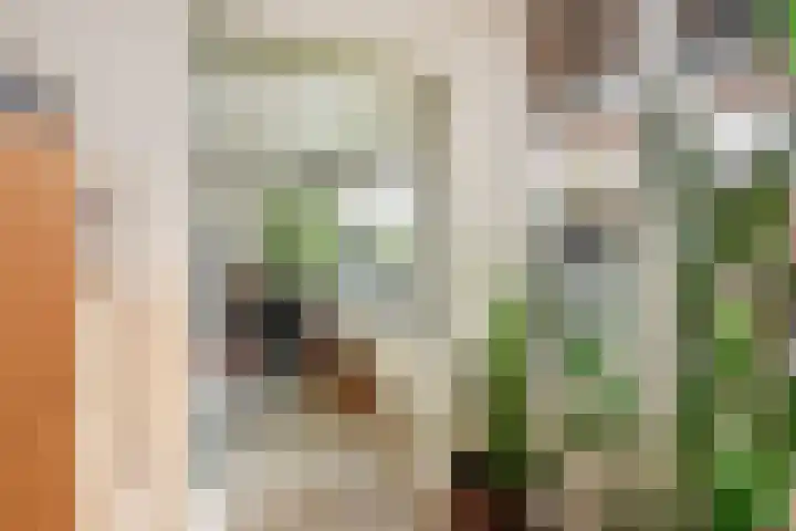 Mosterdakker 7 Zoetermeer thumbnail 25