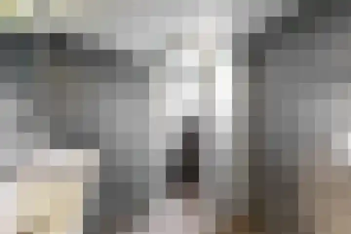 Mosterdakker 7 Zoetermeer thumbnail 29