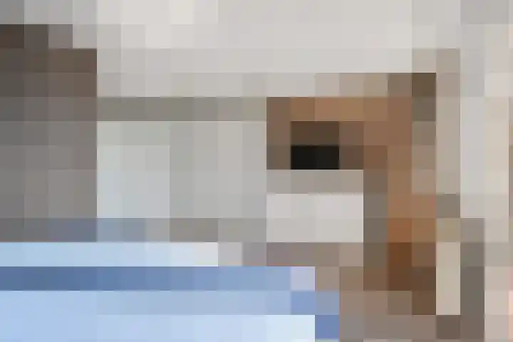 Mosterdakker 7 Zoetermeer thumbnail 38