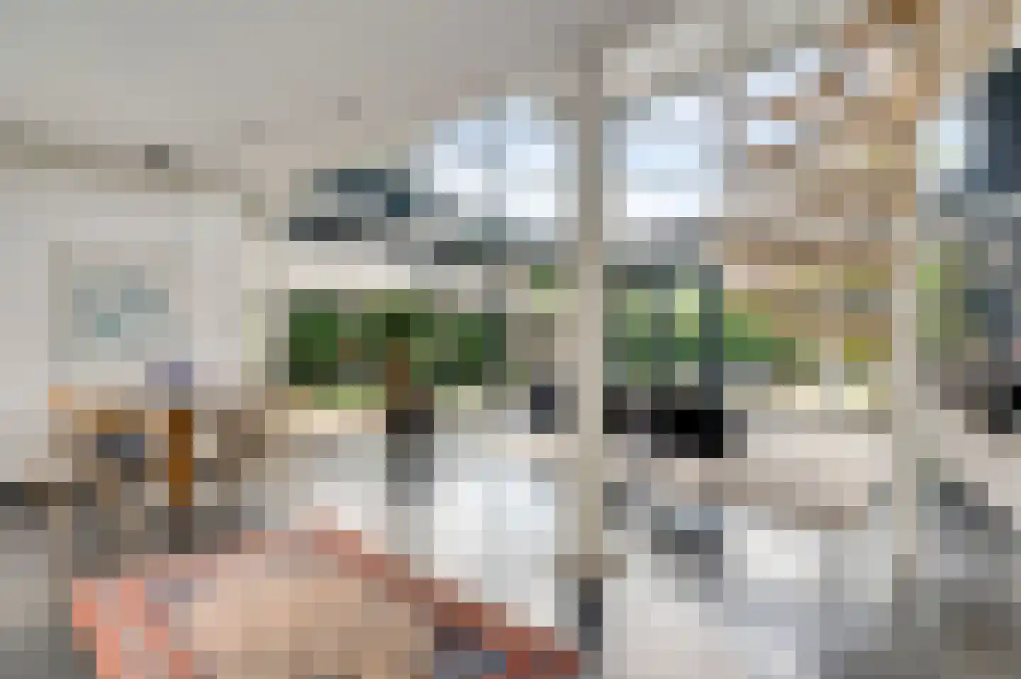 Mosterdgriend 23 Herten thumbnail 11