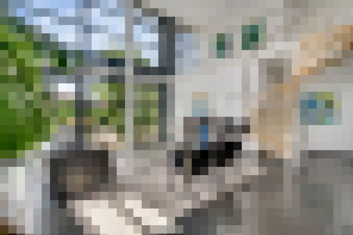 Mosterdgriend 23 Herten thumbnail 15