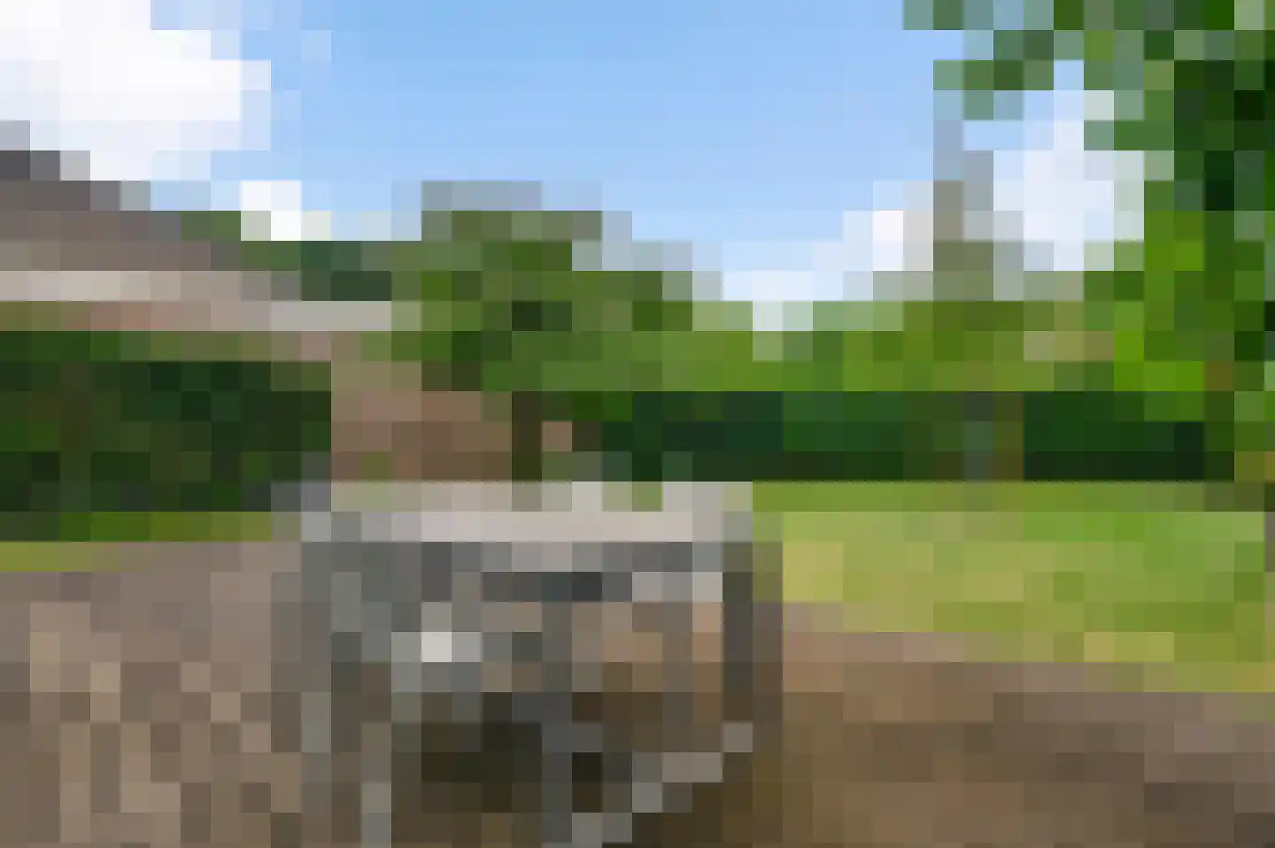 Mosterdgriend 23 Herten thumbnail 28