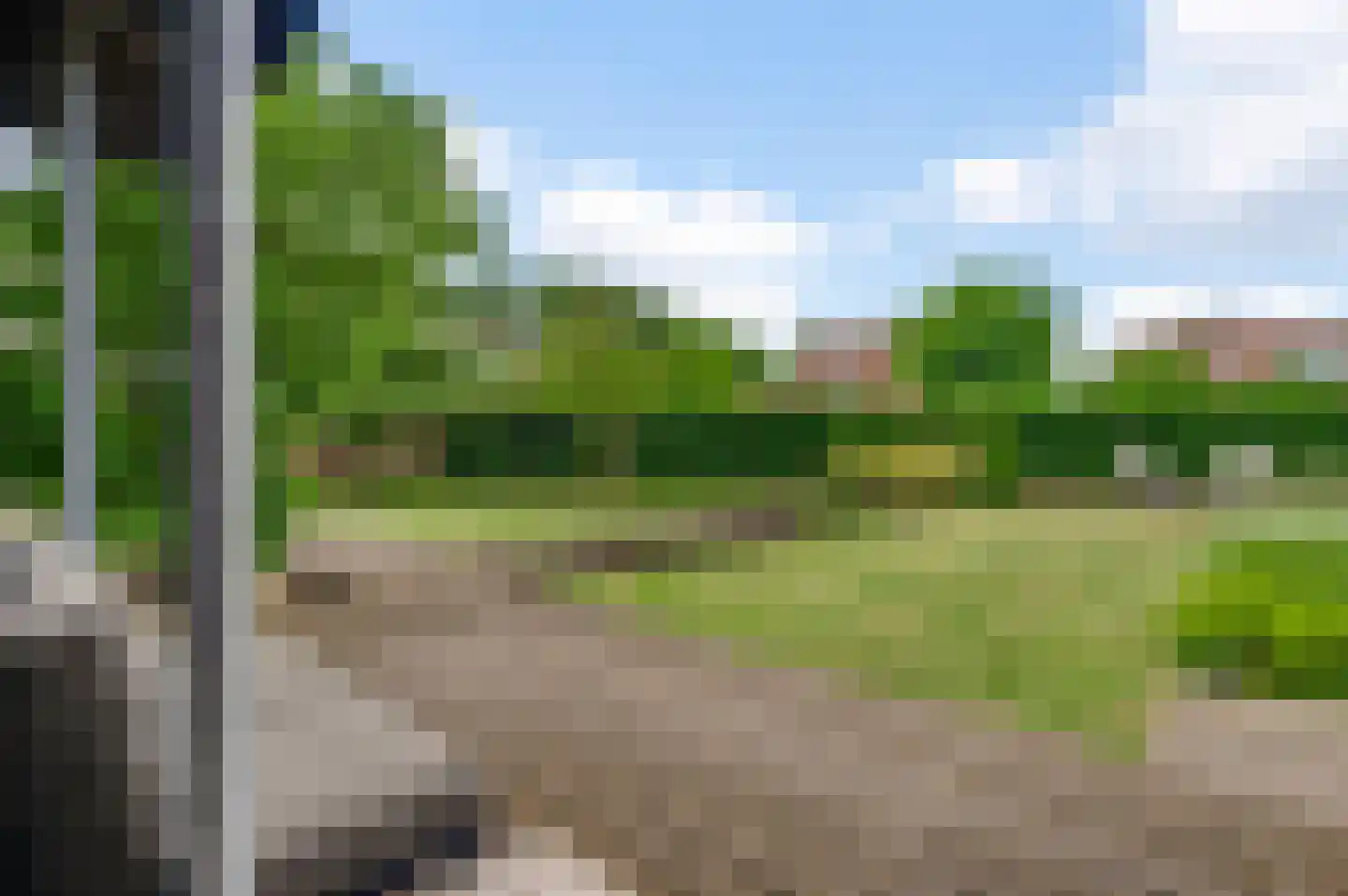 Mosterdgriend 23 Herten thumbnail 29