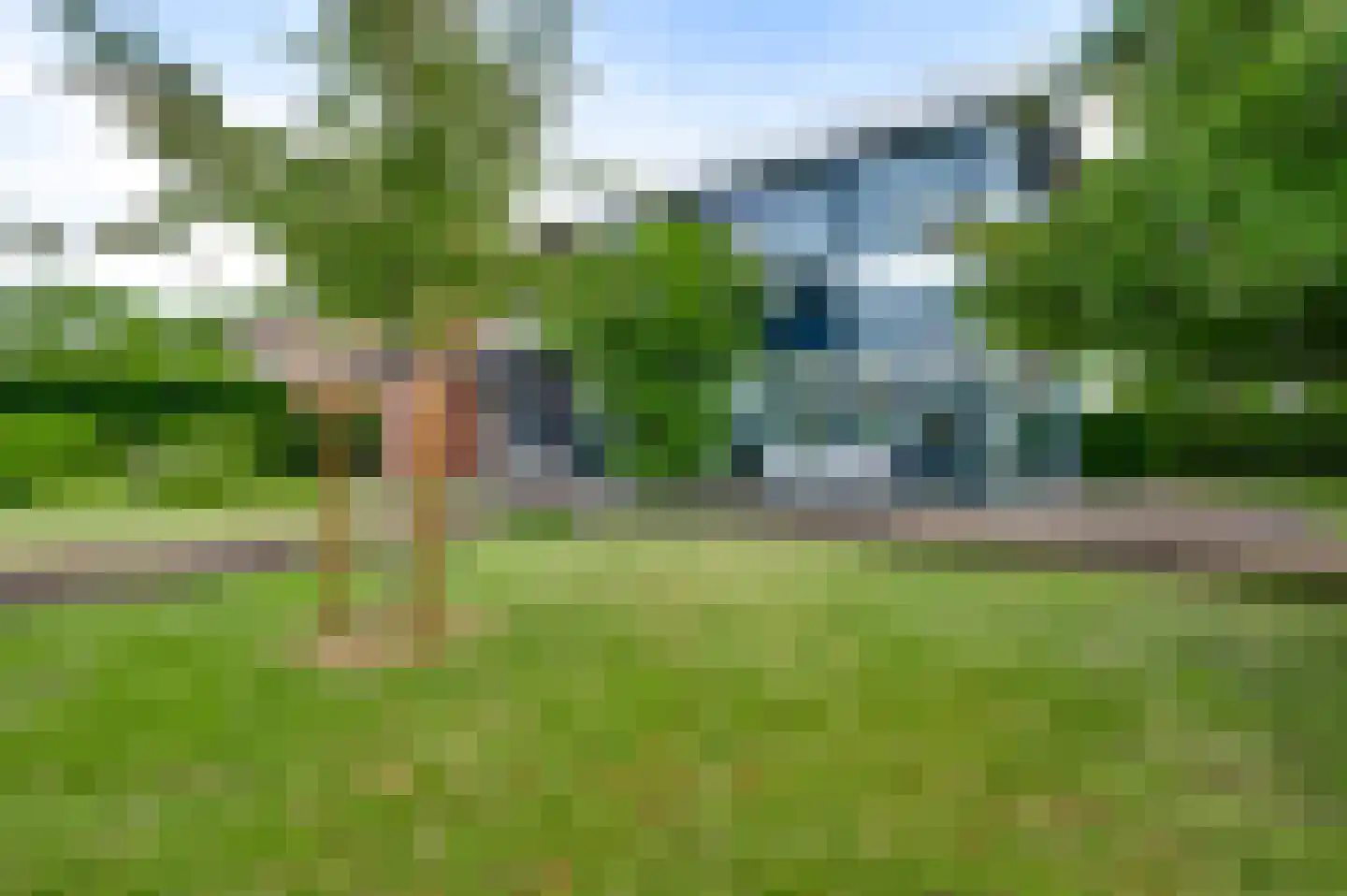 Mosterdgriend 23 Herten thumbnail 31