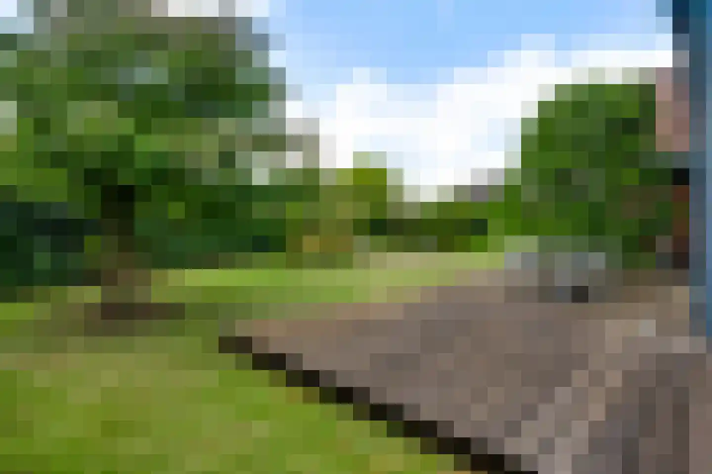 Mosterdgriend 23 Herten thumbnail 4