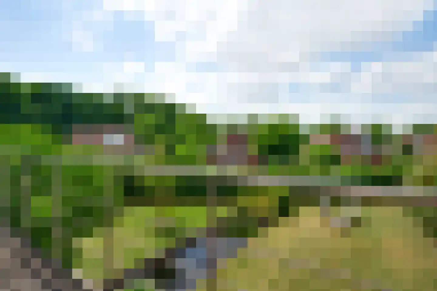 Mosterdgriend 23 Herten thumbnail 43