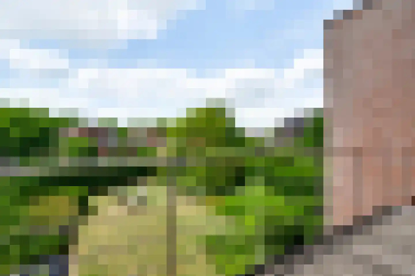 Mosterdgriend 23 Herten thumbnail 44