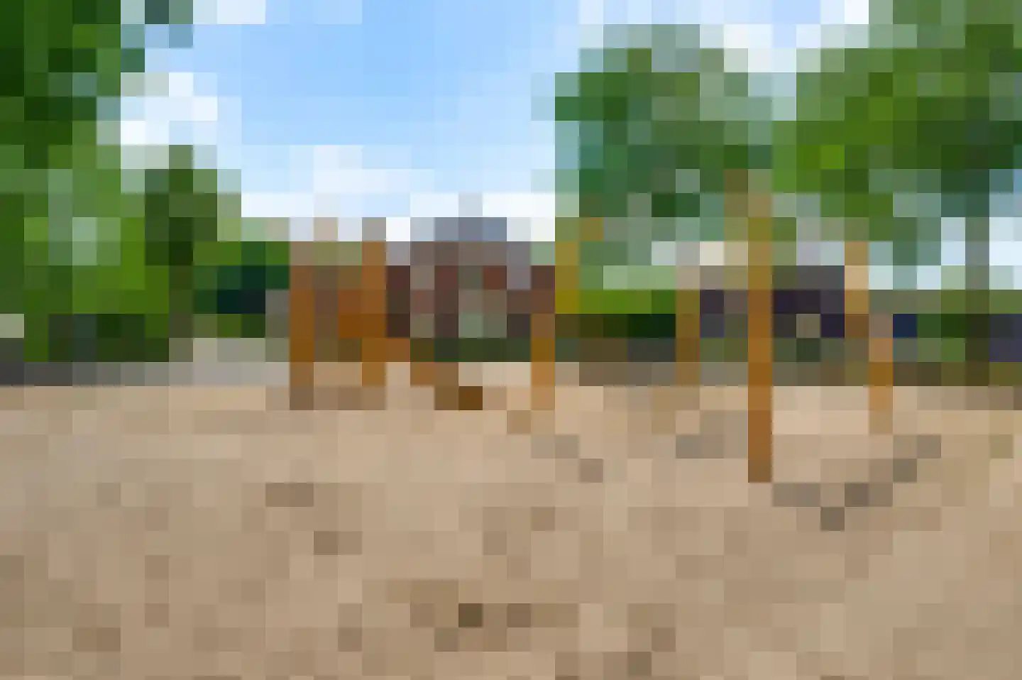 Mosterdgriend 23 Herten thumbnail 47