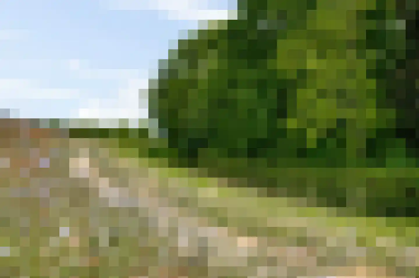 Mosterdgriend 23 Herten thumbnail 48