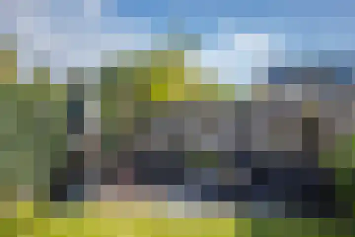 Mosterdhof 114 Westervoort thumbnail 23